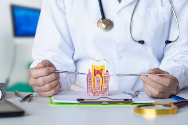 Best Broken or Cracked Tooth Emergency Dentist in Rockton, IL